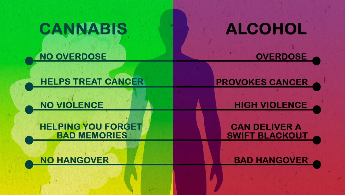 https://2fast4buds.com/de/news/Cannabis-Vs-Alcohol-What-Is-Safer-for-You